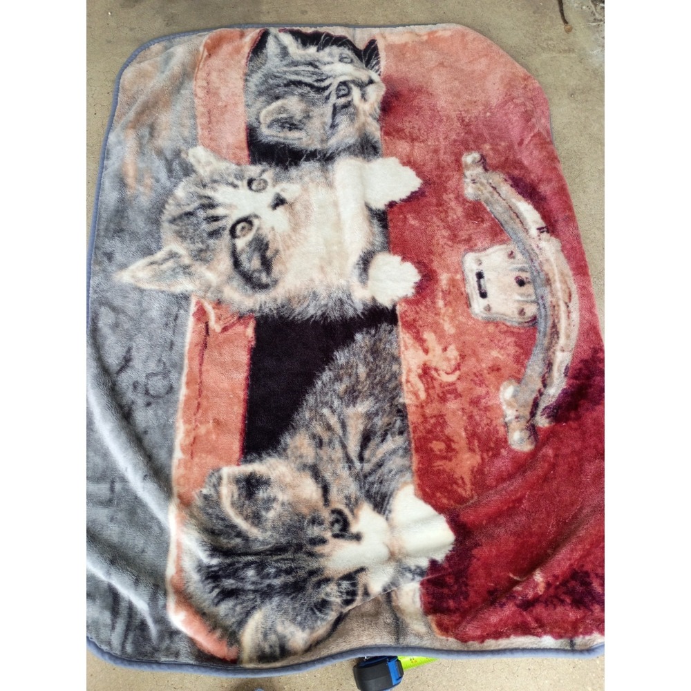 Shavel Home Products Polyester Soft Fleece Kitten Throw Blanket 42"